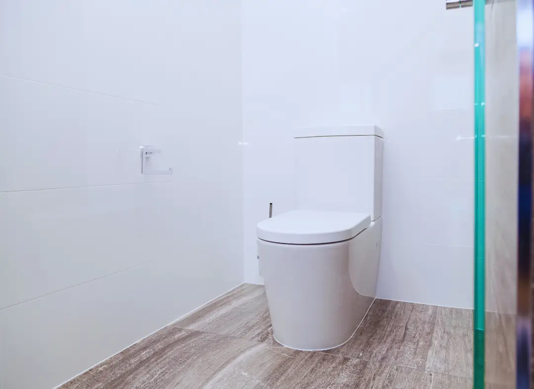 Remplacement de wc Vergèze